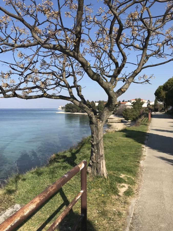Apartman Mirella Apartment