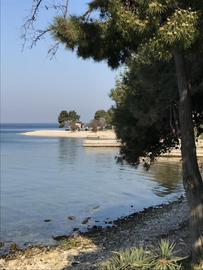 Apartment Apartman Mirella Zadar